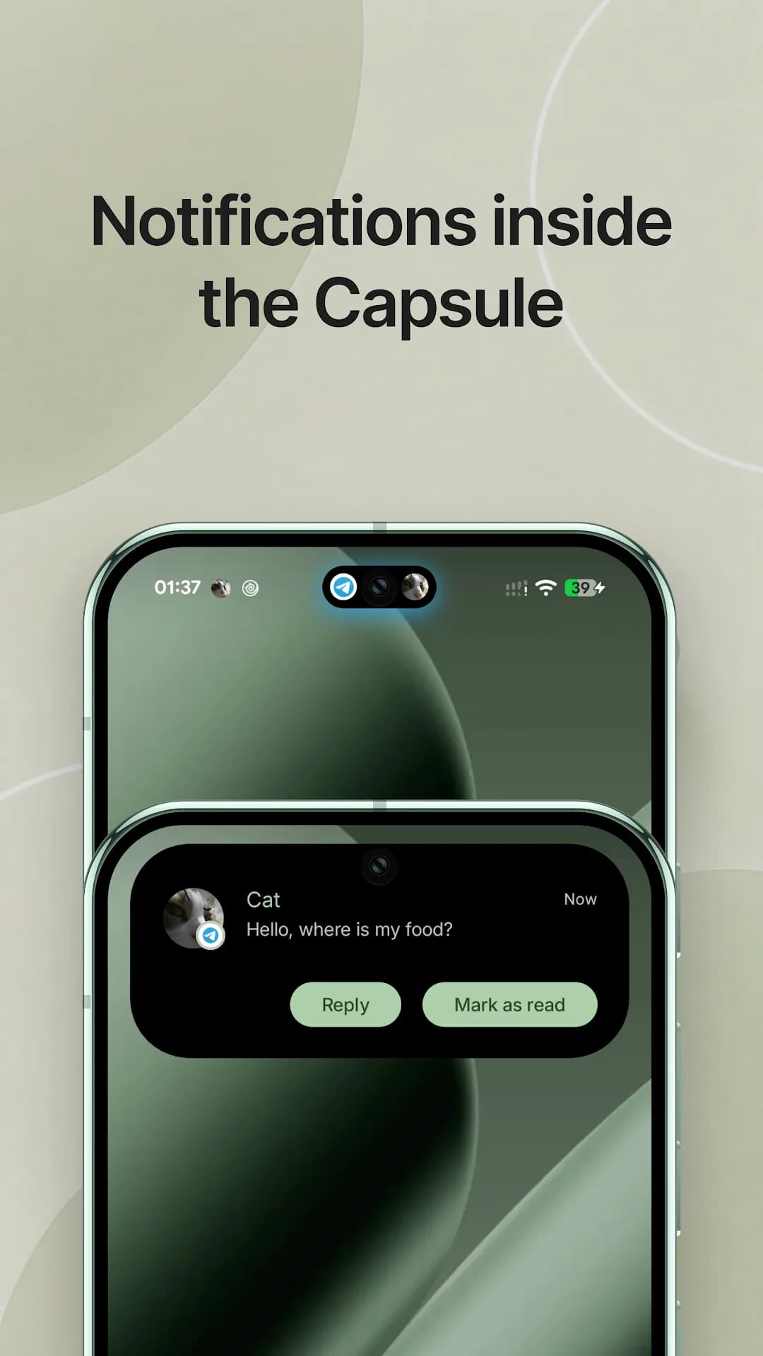Material Capsule — Captura de pantalla 3