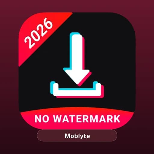 TikTok Downloader