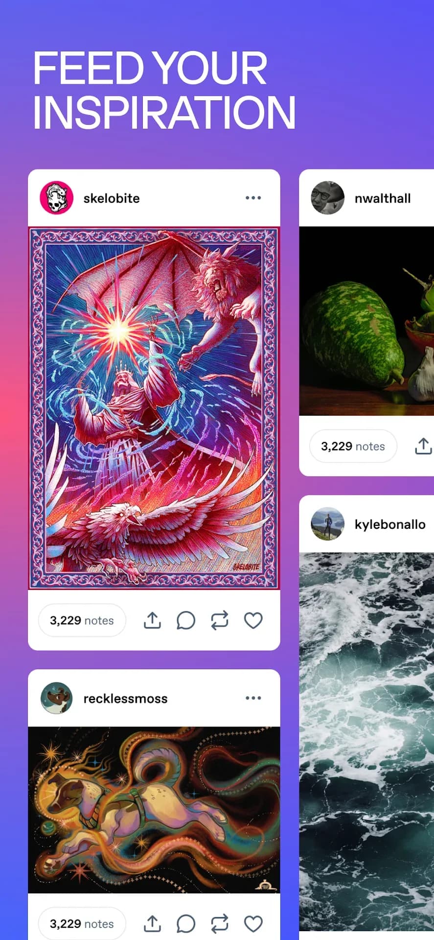 Tumblr — Capture d’écran 4